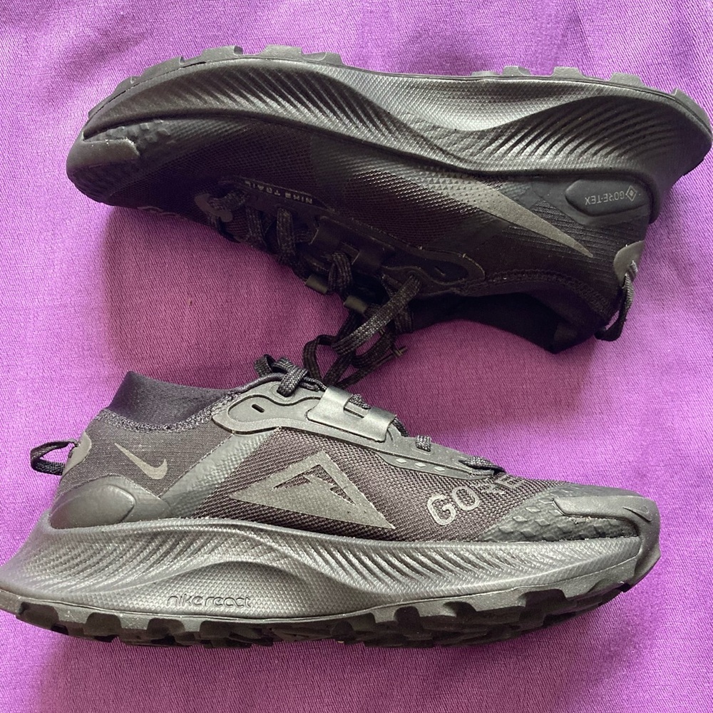 Womens Nike Pegasus Trail Gore-Tex Size 6.5